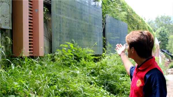 一泓清水连旧事，莘莘学子行在今 ——福州大学 “河小禹”实践队记行